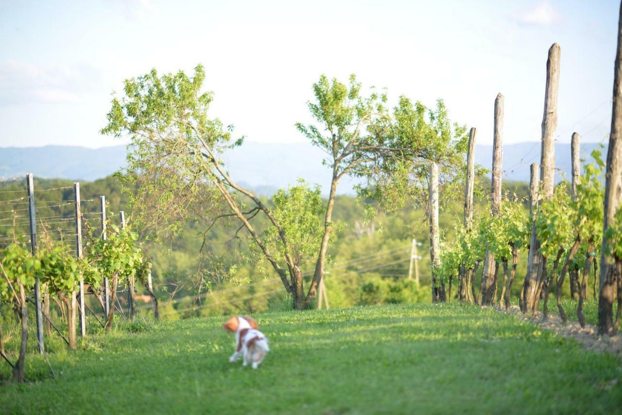 Villa Botanica Mirkovec エクステリア 写真