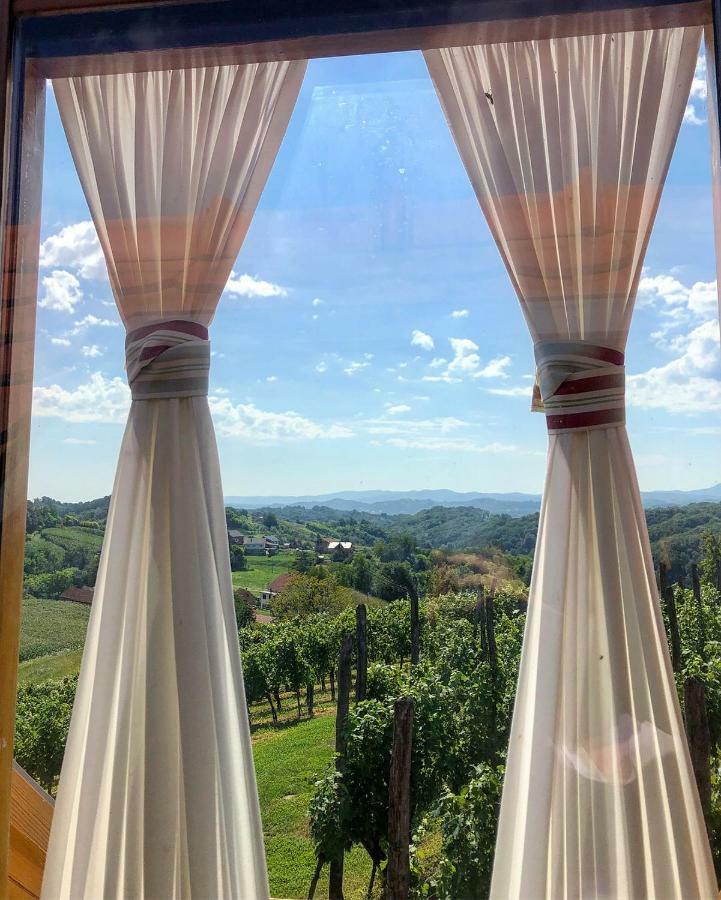 Villa Botanica Mirkovec エクステリア 写真