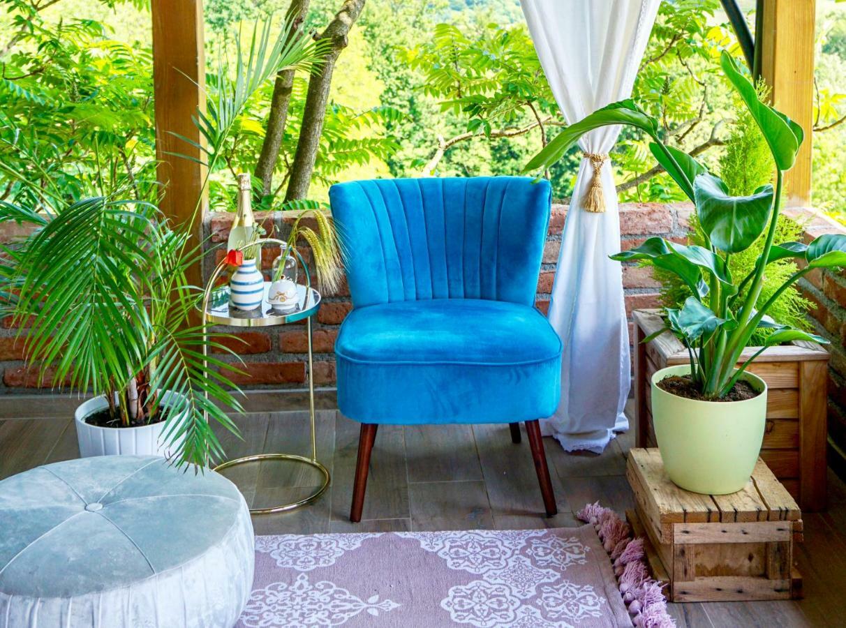 Villa Botanica Mirkovec エクステリア 写真