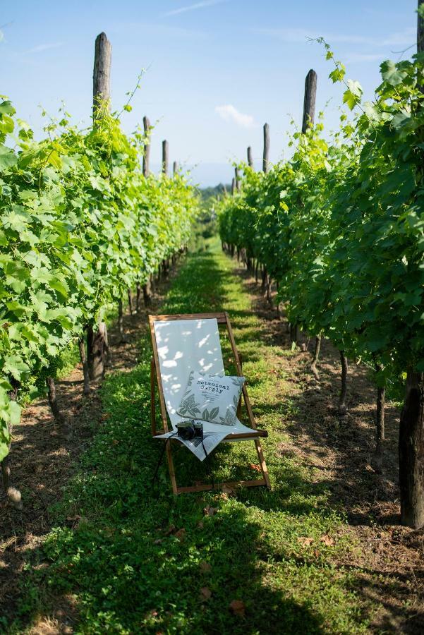 Villa Botanica Mirkovec エクステリア 写真